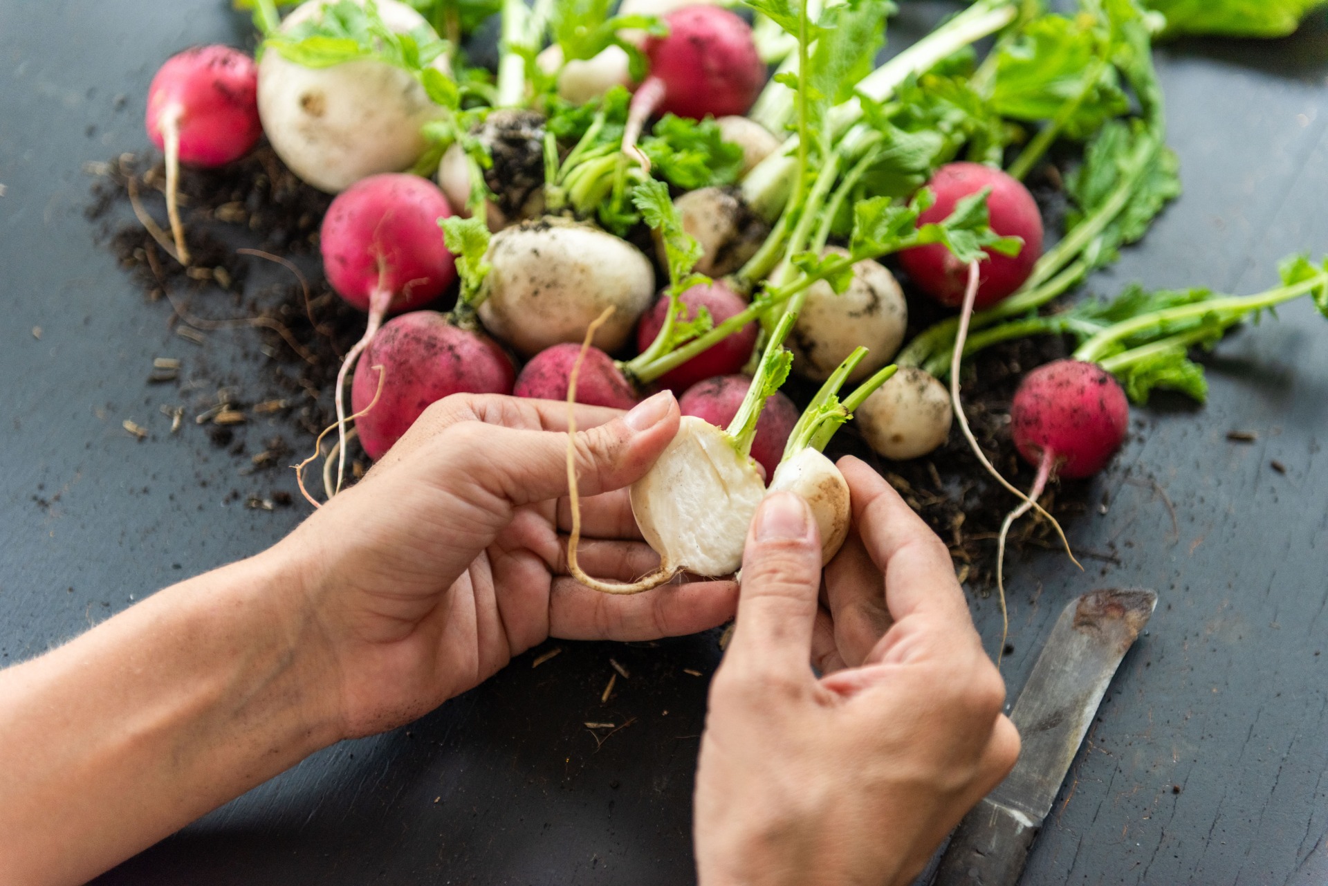 how to grow radishes